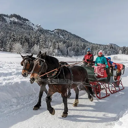 Appartamento Nature Fun - Nahe Pressegger - Skibus Zum Nassfeld - Familien & Hunde Willkommen